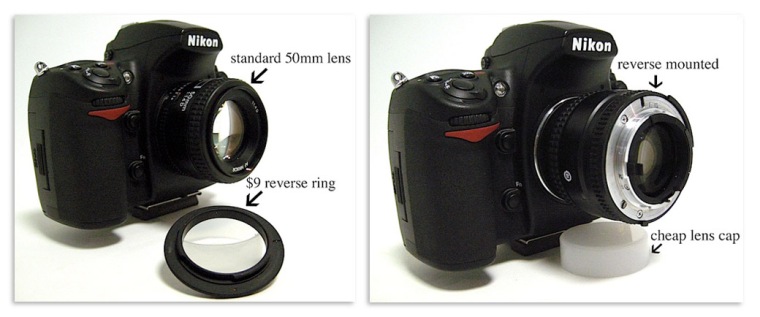 Reverse-Lens1